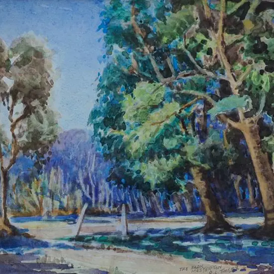 TINGEY, R.L. (c.1900-1930) - The Park, Masterton
