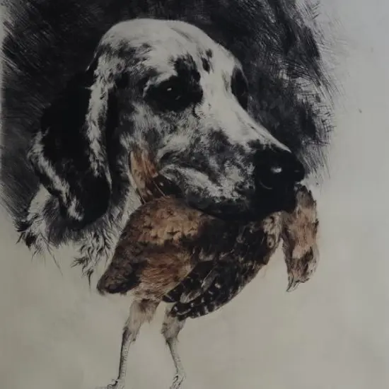 UNKNOWN Artist (A3) - Dog with Game Bird