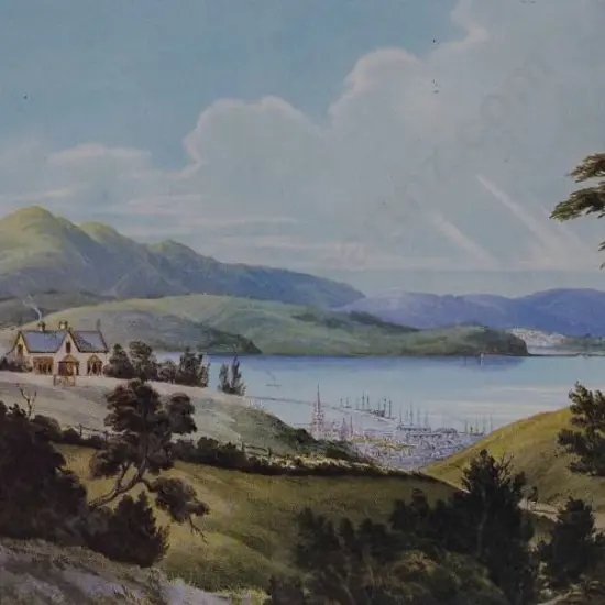 HOYTE, John Barr Clarke (1835-1913) - Dunedin from the Town Belt - N.Z. Harbour Scene
