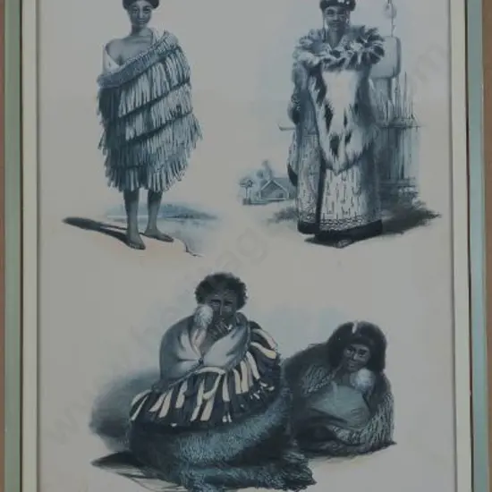 ANGAS, George French (1822-1886) - New Zealanders Illustrated. Plate 43