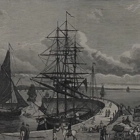 A65 - Auckland Harbour 1890s - Auckland Harbour 1890's