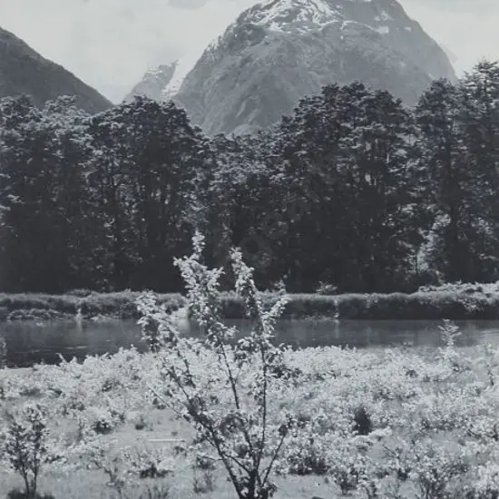 A35 - Unknown - Milford Track, New Zealand