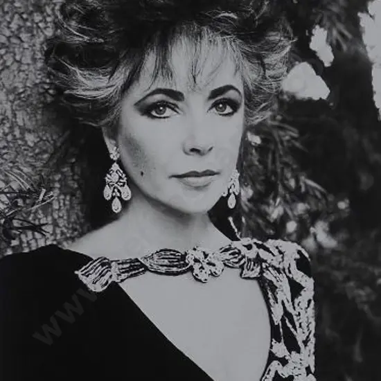 NEWTON, Helmut (1920-2004) - Photo of Elizabeth Taylor, 1985