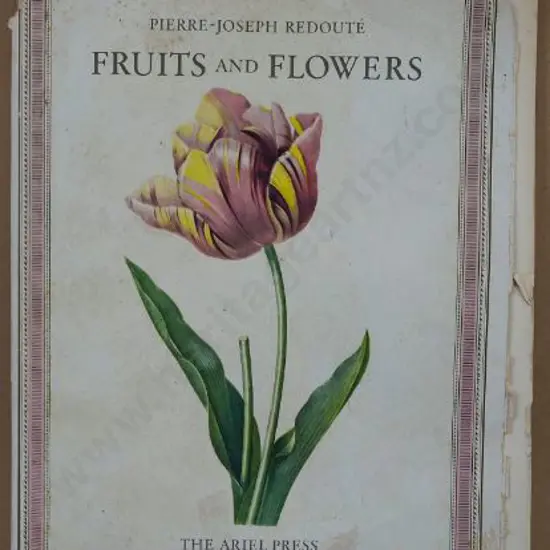 REDOUTE, Pierre Joseph (1759-1840) - Fruits and Flowers