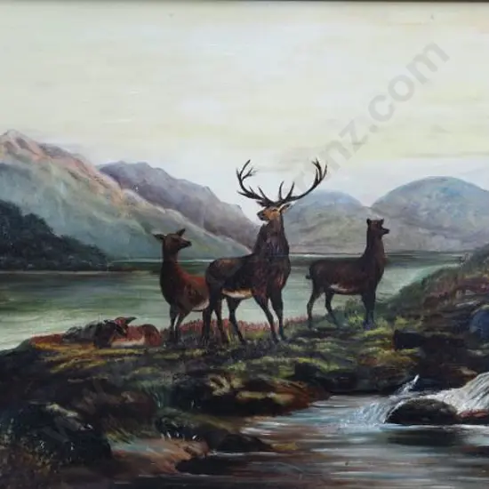 UNKNOWN - Deer Standing by Lake