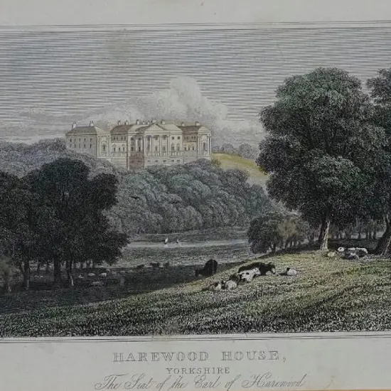 UNKNOWN Artist (A13) - Harewood House, Yorkshire