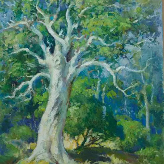 LAUGESEN, Carl (1900-1987) - Old Puriri, Tolaga Bay