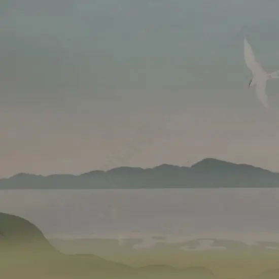 A42 - Unknown - Kapiti Island (stle of Malcolm Warr)