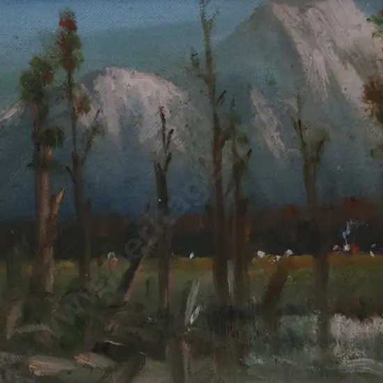 PERRETT, John Douglas (1859-1937) - Southern Alps