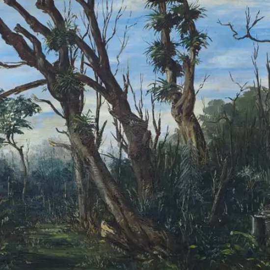 CLARK, R. - Forest Scene