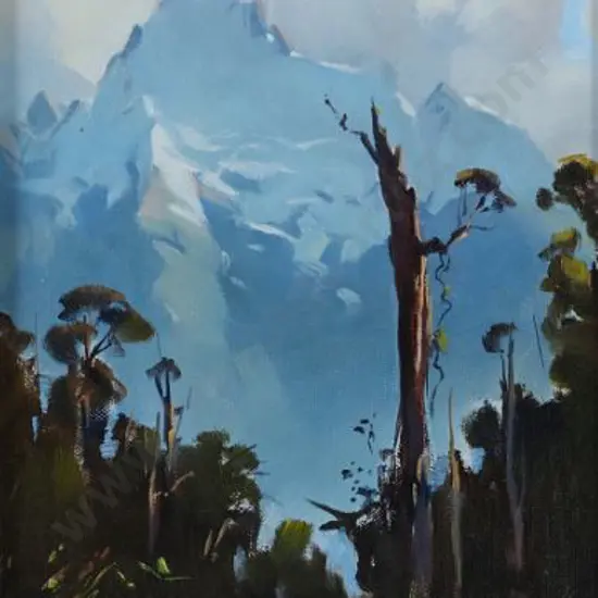 UNKNOWN - Haast Pass, Westland