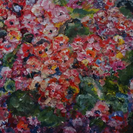 HERLIHY, Louise - Geraniums