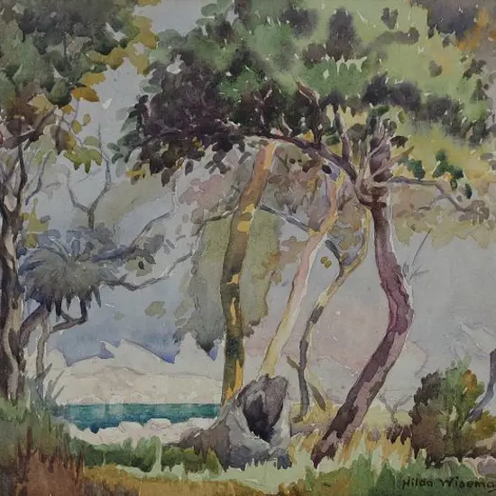 WISEMAN, Hilda (1894-1984) - Sunlight Through the Trees