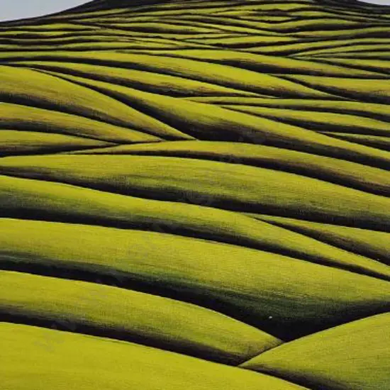 MOORE, Michael (1956-) - Approaching a Mountain 2003