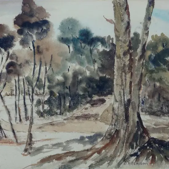 AITCHISON, D - Trees and Bush