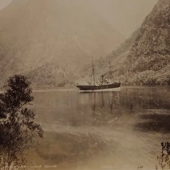 BURTON Brothers (c.1880-1885) - Wet Jacket Arm, Dusky Sound, c.1880