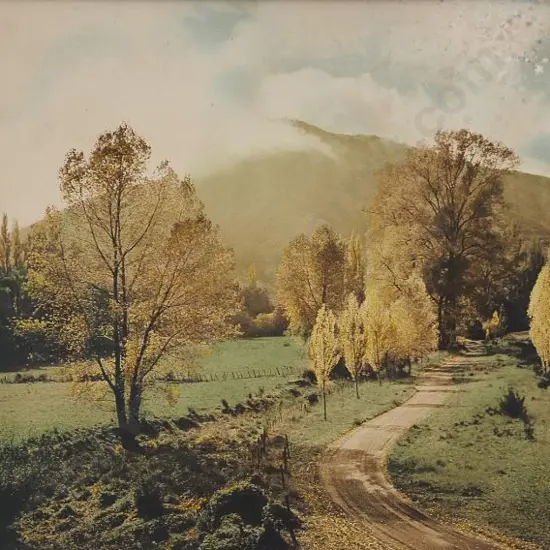 AUTUMN in the South - South Island Autumnal Scene - Handcoloured Photo c.1950