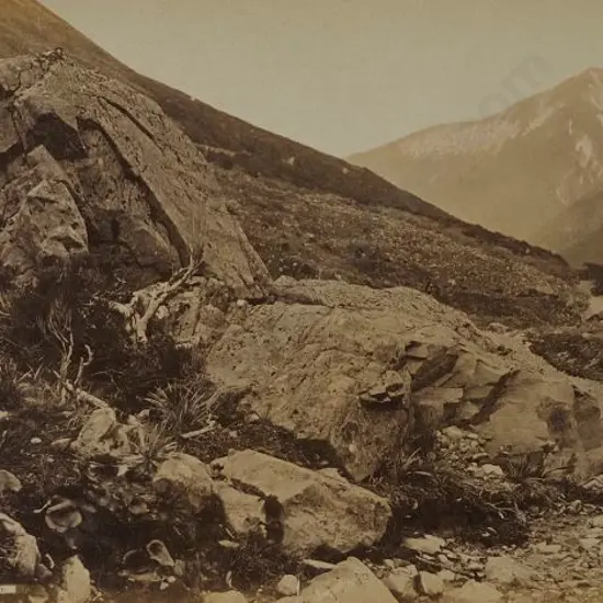 WHEELER, Edmund (1800-1877) - Summit of Arthur's Pass, 5000 feet