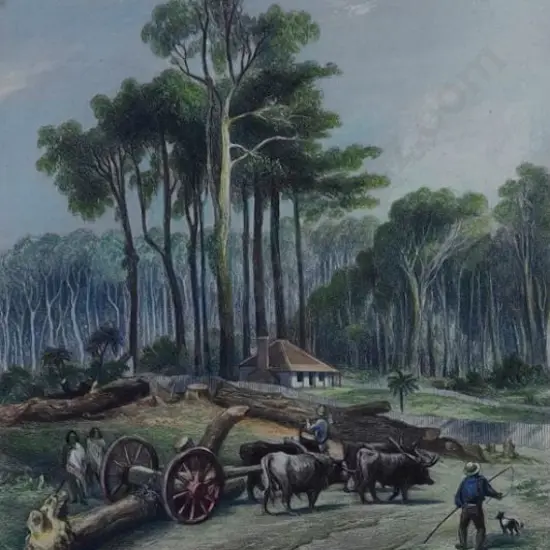 BREES, Samuel Charles (1809-1865) - Bush Clearing Porirua 1847