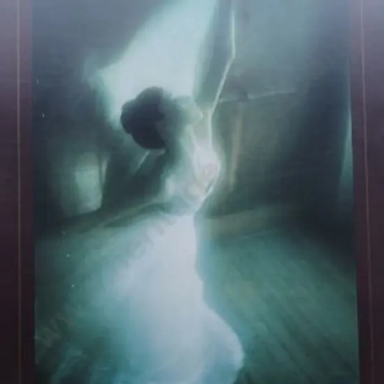 HAMILTON, David - Ballerina