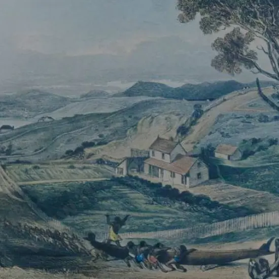 BREES, Samuel Charles (1809-1865) - Hawkestone Street, Wellington with the Artist's Cottage -  c.1843