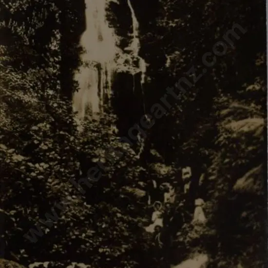 UNKNOWN Photographer - Taneatua, Stanley Falls Track