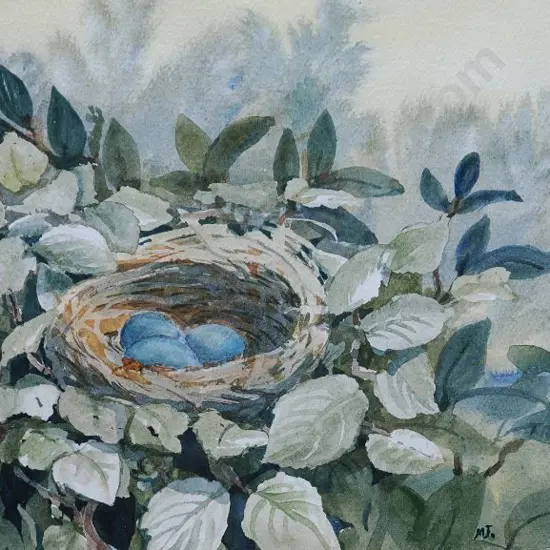 M.J. - Bird's Nest