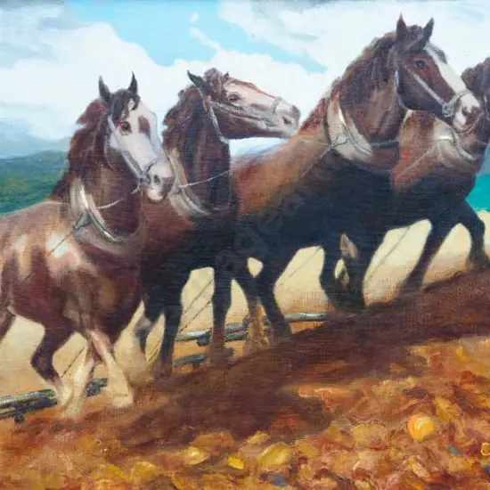 DAVIES, Clem (Active 1970s/80s) - Pulling Harness