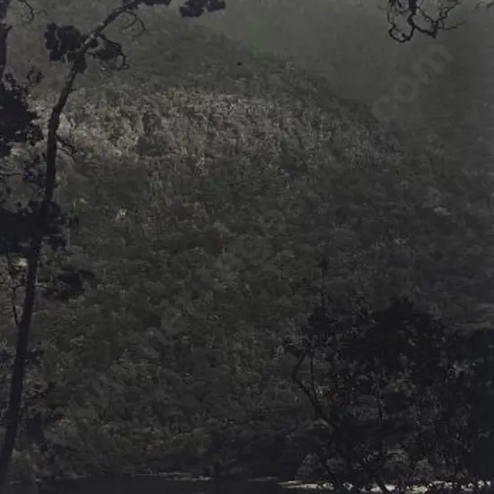 UNKNOWN Photographer - Wet Jacket Arm, Dusky Sound