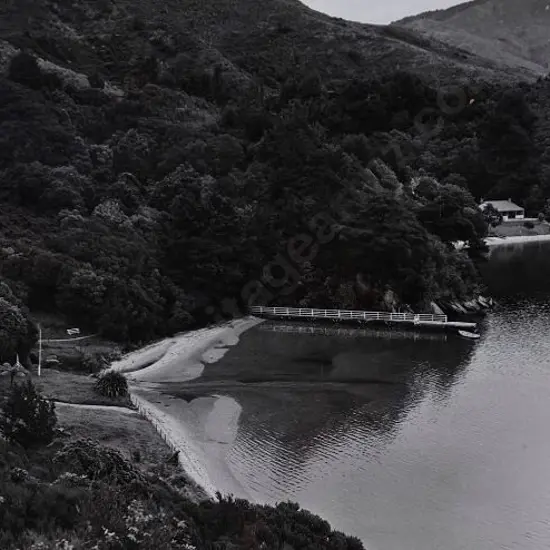 BROWNE, Victor Carlyle (1900-1980) - Bush Country and a jetty in Queen Charlotte Sound c. 1950