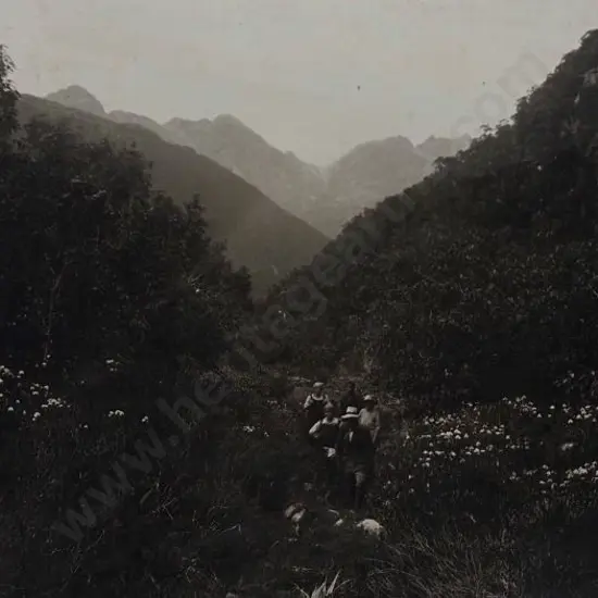 UNKNOWN Photographer - Wilmott Pass, Between Lake Manapouri & Doubtful Sound, with Trampers, c.1900