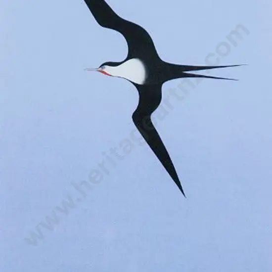 BINNEY, Don (1940-2012) - The Pacific Bird 1, 1968