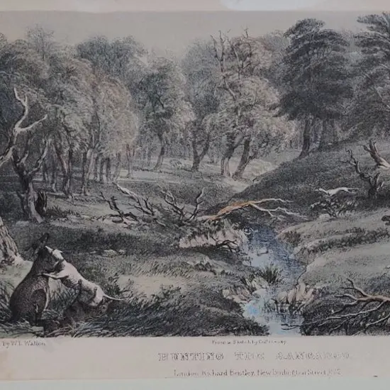 MUNDY, Colonel Godfrey Charles (1804-1860) - Hunting The Kangaroo - 13