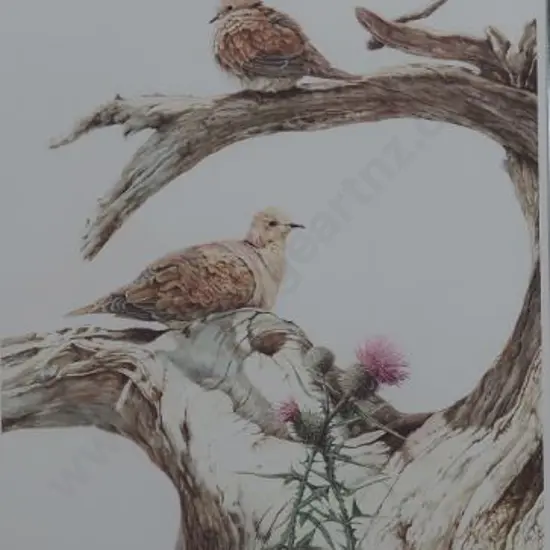 JAQUIERY, Merrilyn (1948-) - Barbary Doves