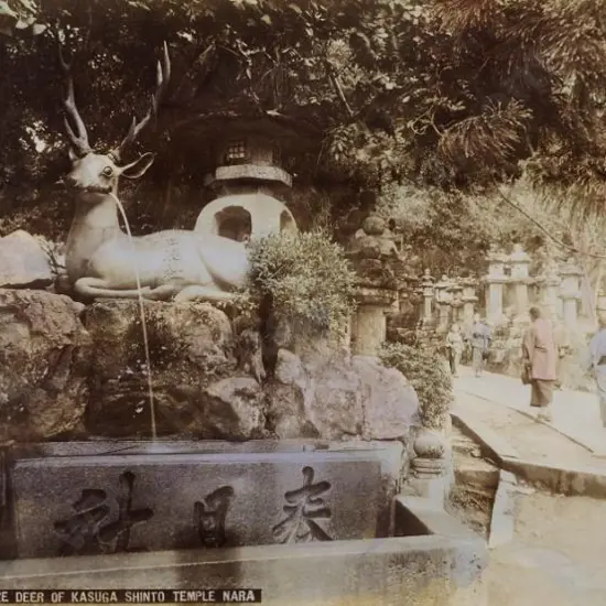 UNKNOWN - Bronze Deer of Kasuga Shinto Temple - Handcoloured photo c.1880