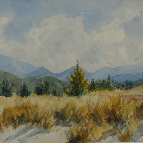 PATERSON, Dorothy (1895-) - Tussocks and Mountains