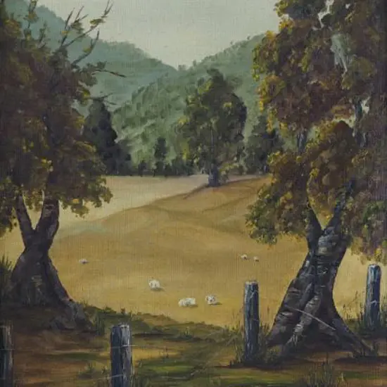 MORGAN, Pam - Featherston Farmland