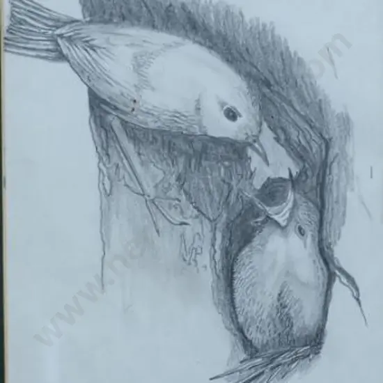 NEILSON, Barry - Nesting Birds