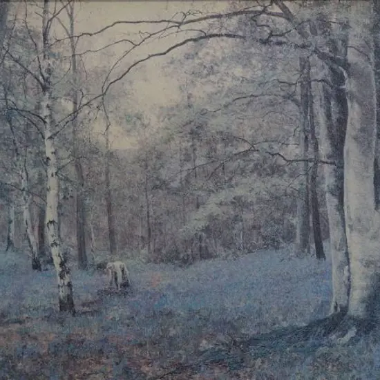 AUSTRIAN FOREST - Woman in Austrian Forest