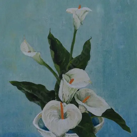 DEVONSHIRE, S. - Lilies