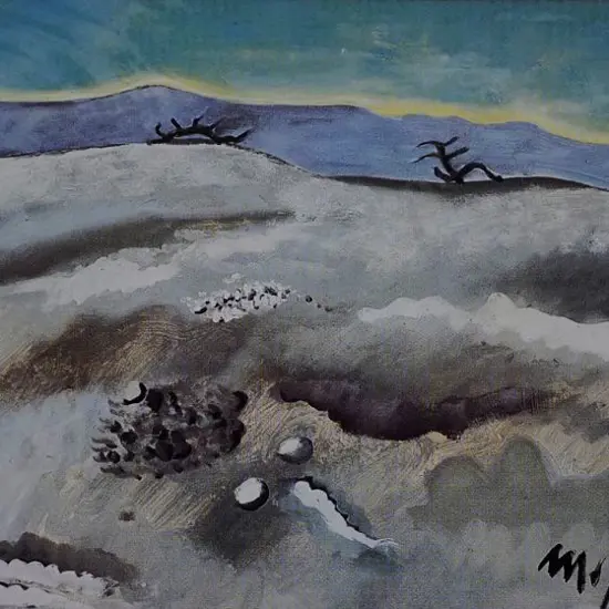 HOYTE, John Barr Clarke (1835-1913) - White Terraces, 1873