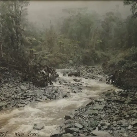 BARKER, H.F. - Haast, West Coast, N.Z.
