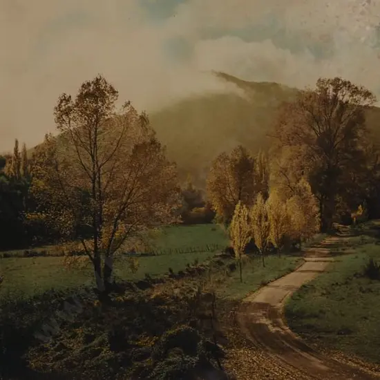 DUDGEON, Ellis (1905-1979) - Autumn, Matai Valley