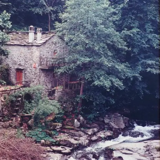 WOOLF, Ronald (1930-1987) - Italian Cottage, 1987