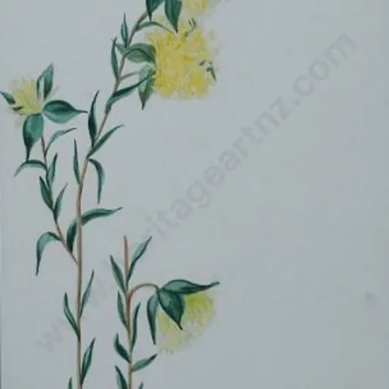 BASSETT, F.H. (1888-1948) - Pomelia (Flowering Plant)