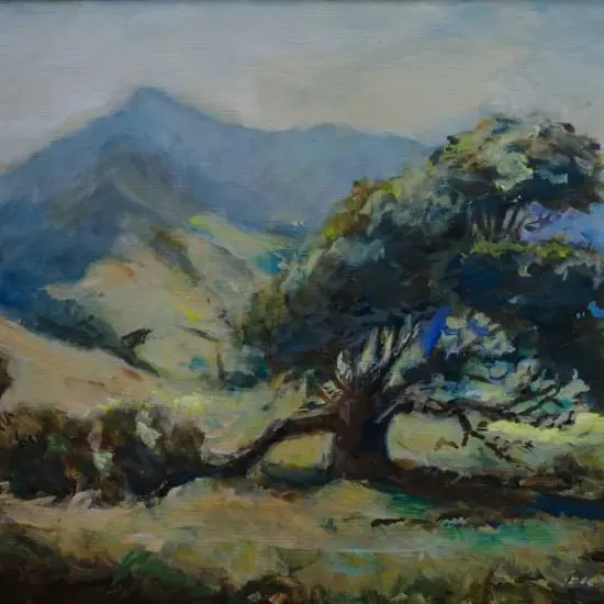 HAMMOND, Jack (1913-2009) - Old Pohutukawa Tree
