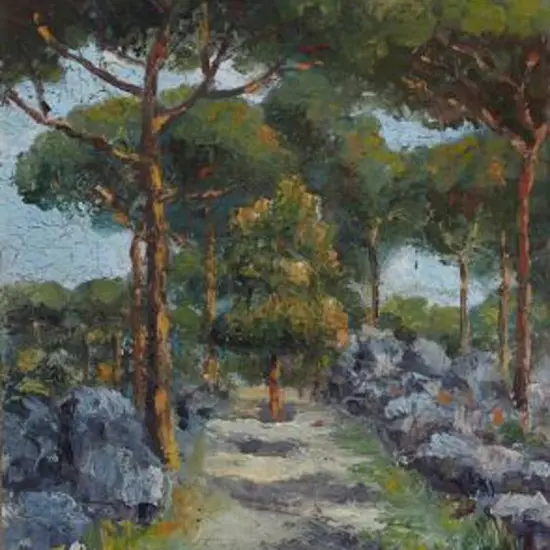 CURILI, C. - Forest Track with Trees