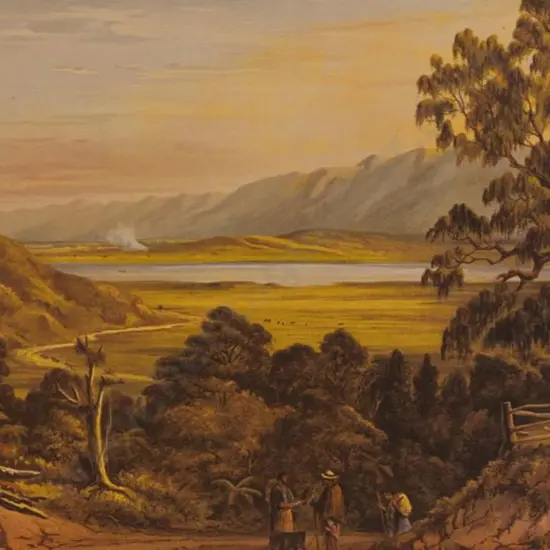 BARRAUD, Charles Decimus (1822-1897) - Pukawa Lake - New Zealand Graphic & Descriptive (1877)