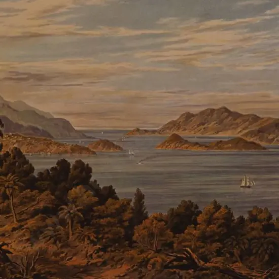 BARRAUD, Charles Decimus (1822-1897) - Port Chalmers - New Zealand Graphic & Descriptive (1877)