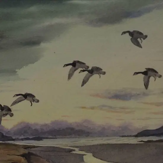 DUNCAN, John - Geese Flying over Estuary